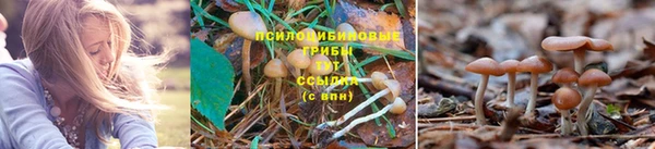 кокаин колумбия Беломорск