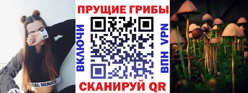 Псилоцибиновые грибы мухоморы  даркнет формула  Тимашёвск  гидра вход 